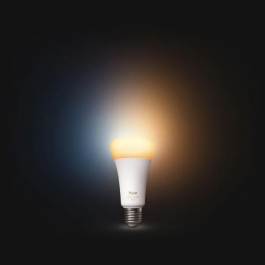 Philips Hue Ampoule LED connectée E27 11,8W A67 - Blanc chaud 2700K 1600 lumens - Gradation fluide 5%-100% compatible application Hue