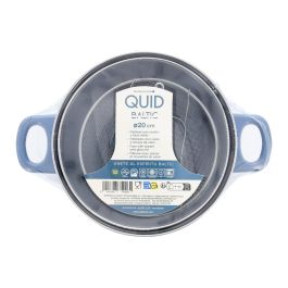 Freidora con Cestillo Acero Carbono Baltic Quid 20 cm