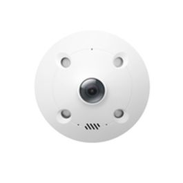 TP-Link Omada IPCam S655I VIGI 5MP IR Fisheye Network Camera, 180° Angle de Vue, Vision Nocturne 10m, Intérieure, IP67, IK10