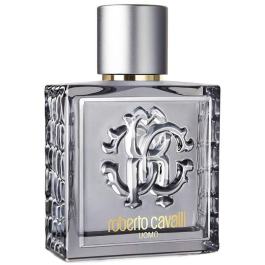 Parfum Homme Uomo Silver Essence Roberto Cavalli EDT (60 ml) (60 ml)