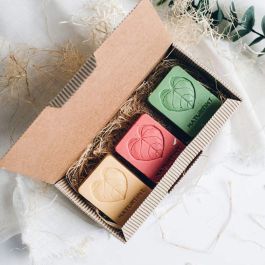 Shampooing Naturtint REPARACIÓN 75 g