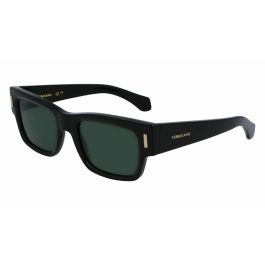 Lunettes de soleil Homme Salvatore Ferragamo SF2011S-001 Ø 53 mm