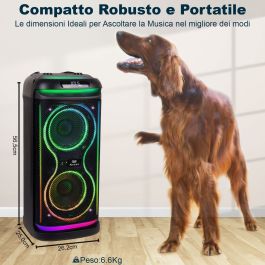 Haut-parleur portable Trevi Trevi XF 650 KB