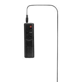 Poupée gonflable Whipsmart