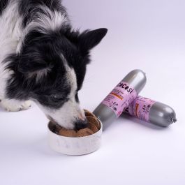 Alimentation humide Cocosi Saucisses Cochon Poulet 12 Unités