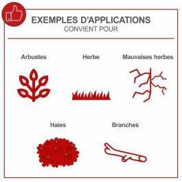 Scheppach OMF52-4P débroussailleuse thermique 4 en 1 (débroussailleuse, élagueuse, taille-haies, débroussailleuse)