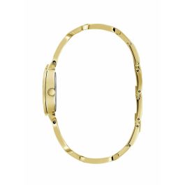 Montre Femme Guess GW0683L2