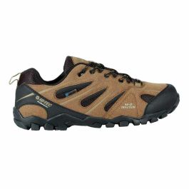 Chaussures de trail pour homme (course en montagne) Hi-Tec Walker Wp Marron Marron Clair Precio: 55.5. SKU: B163KH7VAM