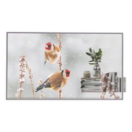 Moniteur Videowall LG 55EW5P-M Full HD 55"