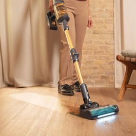 Aspirateur balai Cecotec RX70 AquaPet Flex 800 W