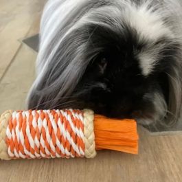 Jouet pour chien en peluche Tyrol