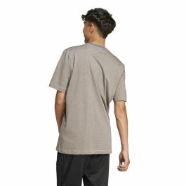 T-shirt à manches courtes homme Adidas Seasonal Essentials Marron Gris clair