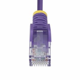 Connecteur RJ45 Catégorie 6 FTP Startech N6PAT10MPLS Pourpre 10 m