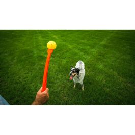 Lanceur de Balles pour Chiens Hunter Jaune Orange Caoutchouc Ballon
