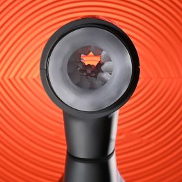 Vortex Dame Rose Playboy Playboy Noir