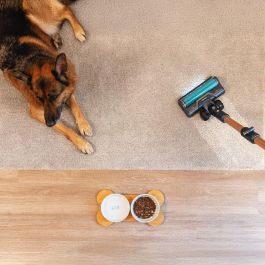 Aspirateur balai Cecotec RX70 AquaPet Flex 800 W