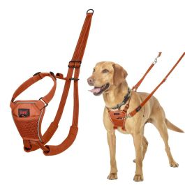 Harnais pour Chien Company of Animals BURNT Orange 12