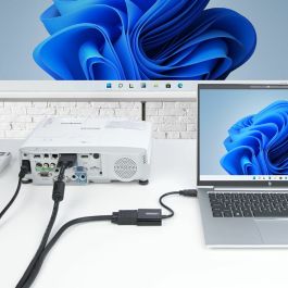 Câble VGA Startech HD2VGAE3