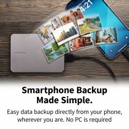 Disque Dur Externe Toshiba HDTX210ESCAA Gris Magnétique