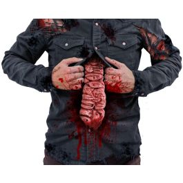 Accessoire Intestins Sanguinolents Suspendus 30x11 cm - Effet Gore pour Décoration Halloween et Fête d'Horreur Precio: 11.4999996. SKU: B1GBE9CQSP