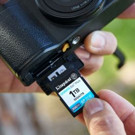 Carte Mémoire Micro SD avec Adaptateur Kingston SDG4/256GB 256 GB