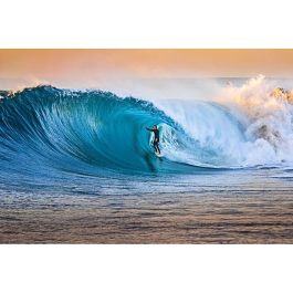 Monture de Lunettes Femme O'Neill ONO-4524 52102