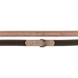Laisse pour Chien Trixie Marron S/M 2 m