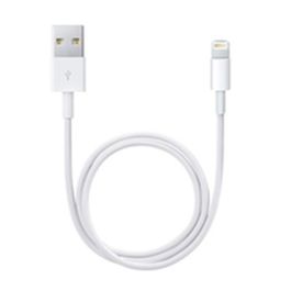 Câble Lightning Apple ME291ZM/A Blanc 50 cm (1 Unité)