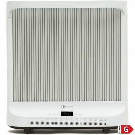 Emetteur Thermique Numérique Haverland IDK1 Blanc Gris 2000 W