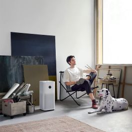 Purificateur d'Air Xiaomi BHR5096GL Blanc Noir Multicouleur