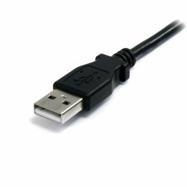 Câble USB Startech USBEXTAA6BK USB A Noir