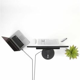 Câble DisplayPort Startech MDP2DPMM10 3 m 4K Ultra HD Noir