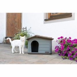 Kerbl Maison pour Chat PAOLA Eco XL 75 x 59 x 55 cm Intérieur/Extérieur KER4018653312025