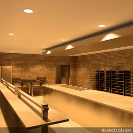 Downlight LED 24W 2022Lm 2700K IP65 Salles de bain/Cuisines 50.000H [SL-DLFS06-24W-WW]