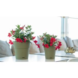 Stefanplast Pot de fleurs Ethica - Pot avec réserve d'eau - 40 x 39 cm (H) - 2 Litres - Gris Anthracite - Plastique durable