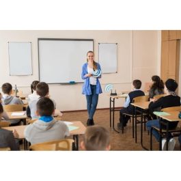 AVerMedia AVerMic Wireless Teacher Microphone (AW315-S)