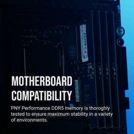 Mémoire RAM PNY 8 GB DDR5 SDRAM DDR5 4800 MHz CL40