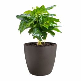 Set de pots Elho Plastique Rond 3 Pièces