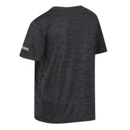 T shirt à manches courtes Enfant Regatta RKT143-4ZQ Gris