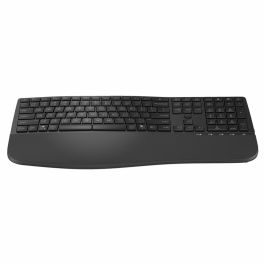 clavier et souris HP 8T6L9UT Noir