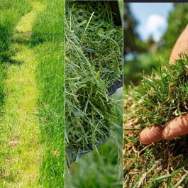 Tondeuse à gazon à batterie Cecotec E7 Liberty Z Plus 20 V 43 cm 20-70 mm 45 L 2 Pièces