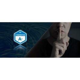 ASRock SL-750G Alimentation ATX 750W 80+ Gold Modulaire Noir