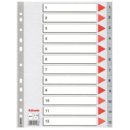 Séparateurs Esselte Numéroté Gris A4 12 Volets (10 Unités)