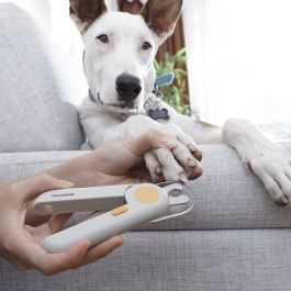 Coupe-griffes avec LED pour Animaux de Compagnie Clipet InnovaGoods