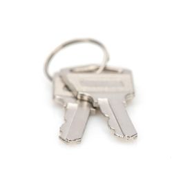 DIGITUS Schlüssel für Ladeschränke Artikel 347329/389306