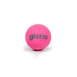 Boule pour animaux de compagnie Gloria PLAY AND RUN Gris Mousse TPR S