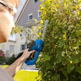 Scheppach C-HTGS200-X - Cisaille à gazon et taille-haie sans fil 2 en 1 - Batterie 20V IXES 2Ah avec chargeur