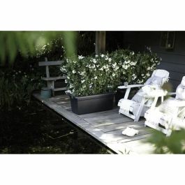 Elho Jardinière Green Basics 60 Negro Living XXL L 29.5 x L 59.2 x H 27.7 cm Plastique Recyclé Résistant au Gel