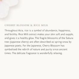 Rituals The Ritual of Sakura Recharge Désodorisant Voiture 2 x 3g Fleur de Cerisier Lait de Riz