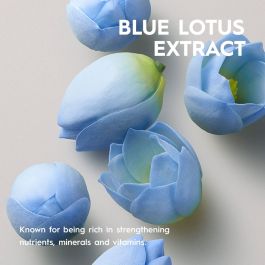 Shampooing Kerasilk ESSENTIALS 750 ml